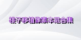桃子移植像素本尼合集