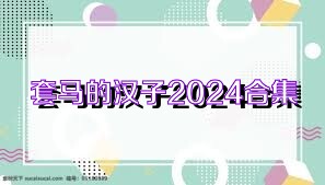套马的汉子2024合集