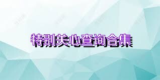特别关心查询合集