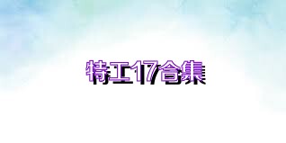 特工17合集