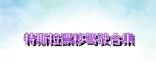 特斯拉漂移驾驶合集