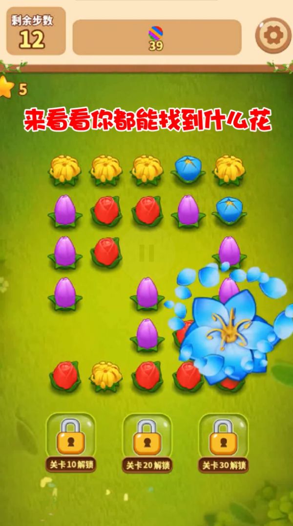 花朵连连消安卓2024最新版3