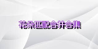 花朵匹配合并合集