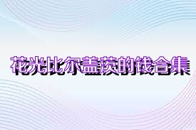 花光比尔盖茨的钱合集