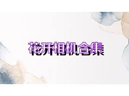 花开相机合集