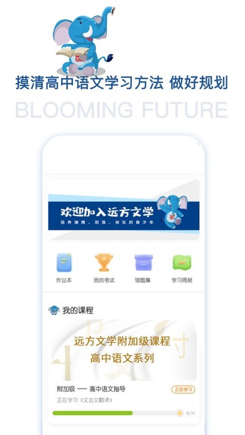 花开远方官网1