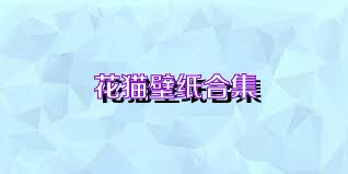 花猫壁纸合集