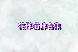 花样猫咪合集