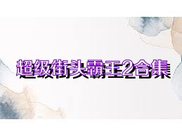 超级街头霸王2合集