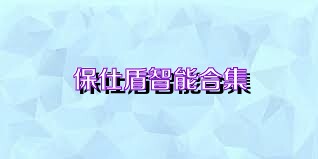 保仕盾智能合集