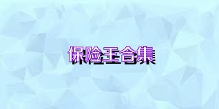 保险王合集