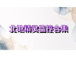 北地精灵监控合集