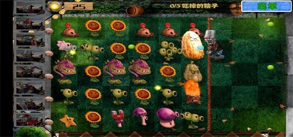 PVZ北美写实版pak1