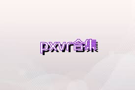 pxvr合集