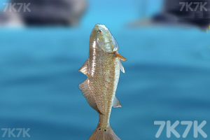 海边钓鱼2最新版2