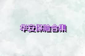 华安保险合集