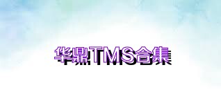 华鼎TMS合集