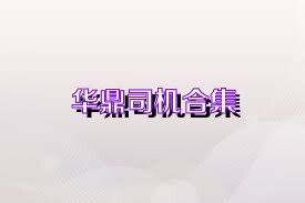华鼎司机合集