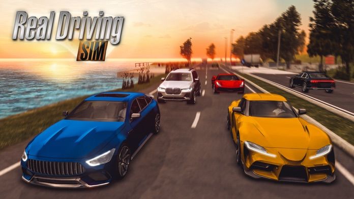 RealDrivingSim破解1