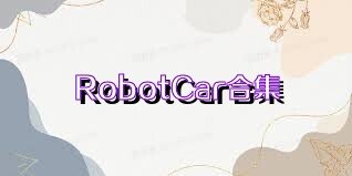 RobotCar合集
