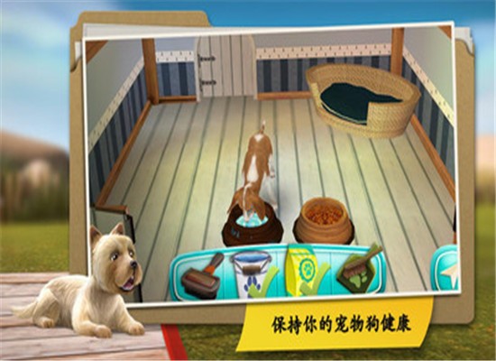 狗舍官网版1