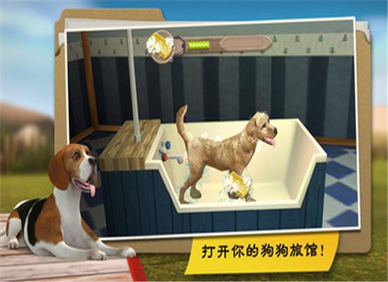 狗舍官网版4