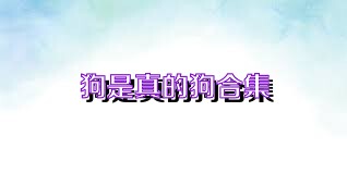 狗是真的狗合集