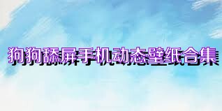 狗狗舔屏手机动态壁纸合集