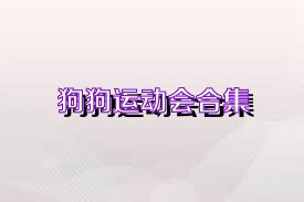 狗狗运动会合集