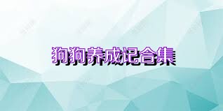 狗狗养成记合集