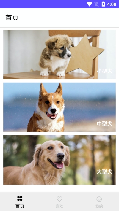 狗狗图鉴安卓3