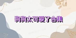 狗狗太可爱了合集