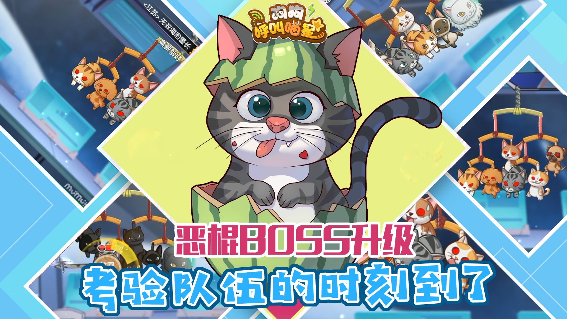狗狗呼叫喵星官方吧5