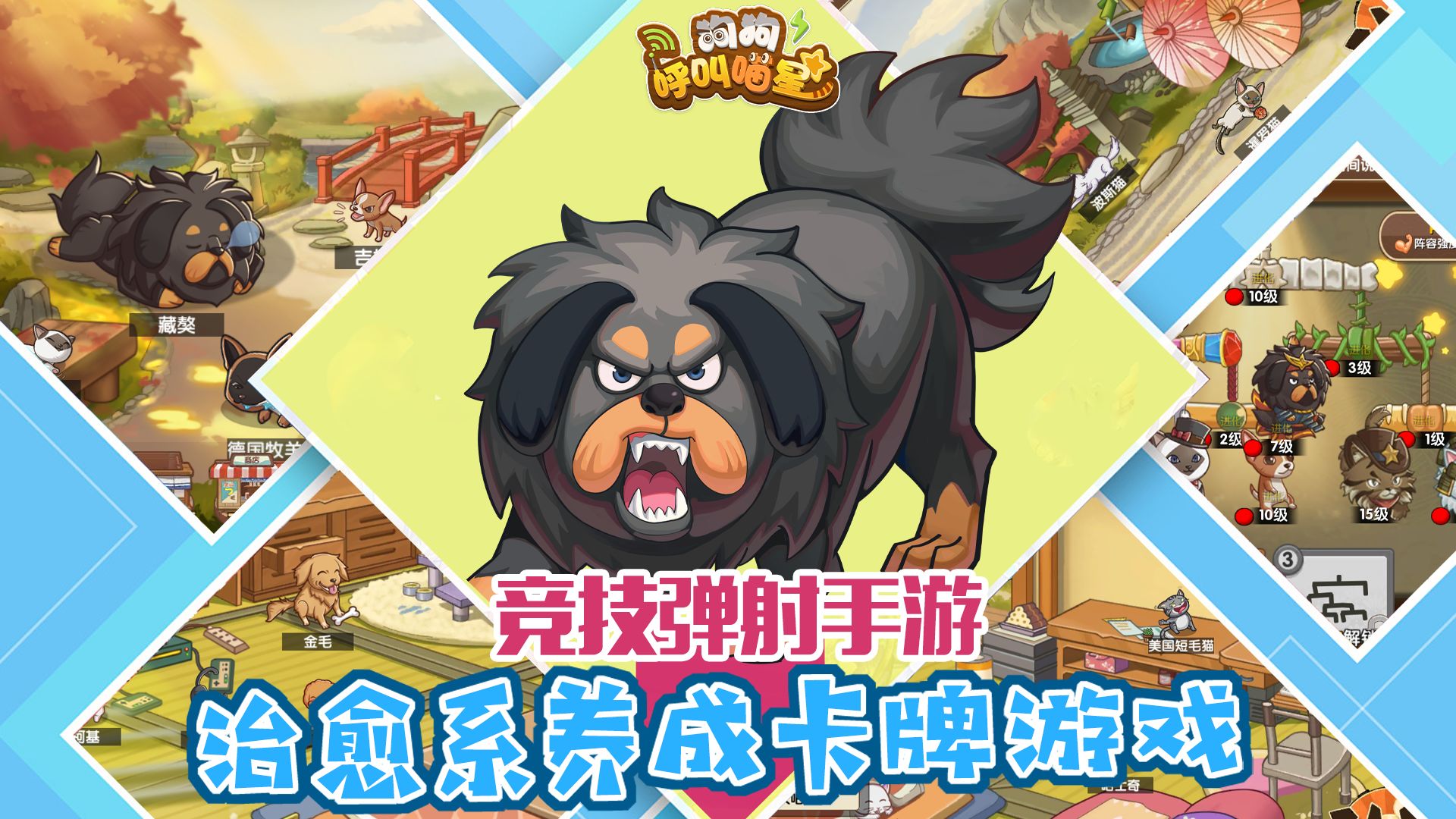 狗狗呼叫喵星官方正版3
