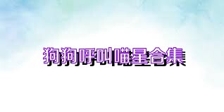 狗狗呼叫喵星合集
