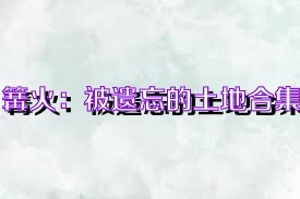 篝火：被遗忘的土地合集