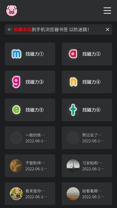 bt磁力猪手机版2