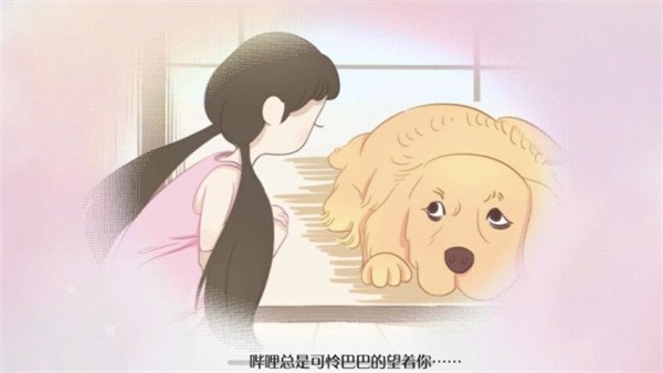 阿今宠物屋app官网2