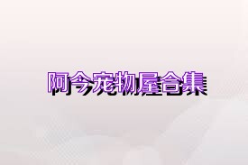 阿今宠物屋合集