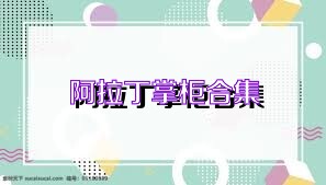 阿拉丁掌柜合集