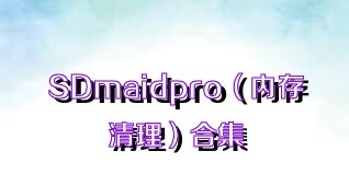 SDmaidpro（内存清理）合集
