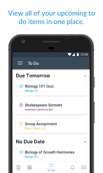 canvasstudent官网3