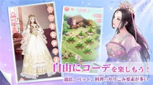 宫廷的遥映安卓版1