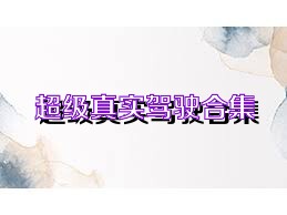 超级真实驾驶合集