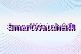 SmartWatch合集