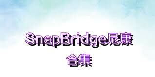 SnapBridge尼康合集
