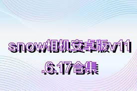 snow相机安卓版v11.6.17合集