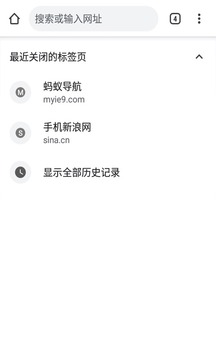 Chrome蚂蚁优化版3