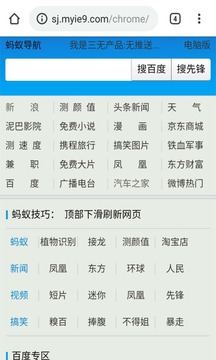 蚂蚁chrome中文版2