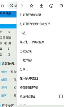 蚂蚁chrome中文版5